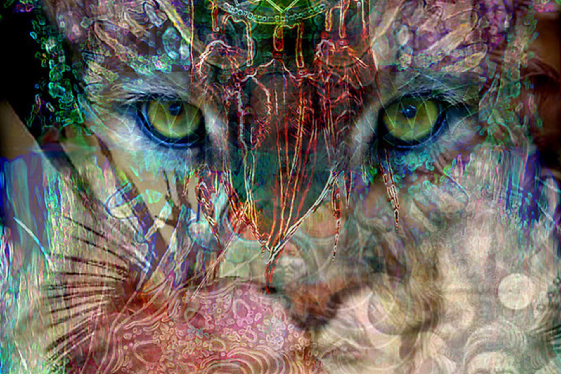 Sacred Medicine Ceremonies